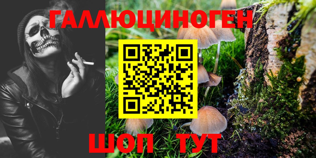 Белебей  Псилоцибиновые грибы Cubensis  где найти наркотики  Вход с VPN 